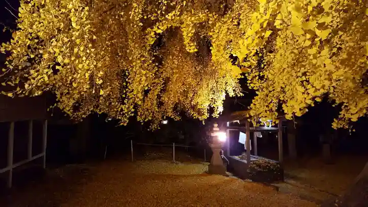 丹生酒殿神社のその他建物