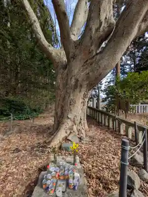函館八幡宮(北海道)