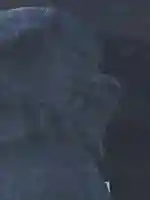 札幌護國神社の狛犬