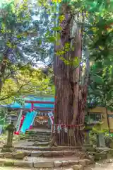 磐椅神社(福島県)