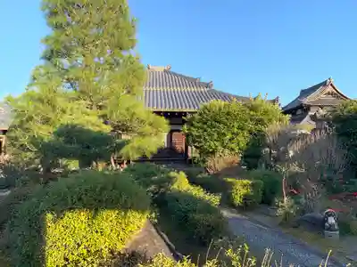 專稱寺（専称寺）の本殿・本堂