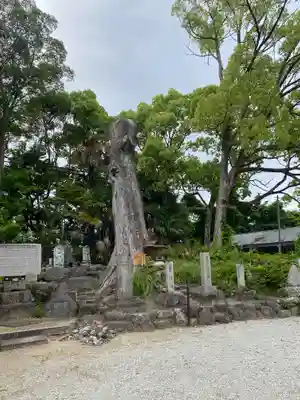 吉祥草寺(奈良県)