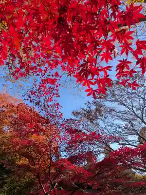 大山寺(神奈川県)