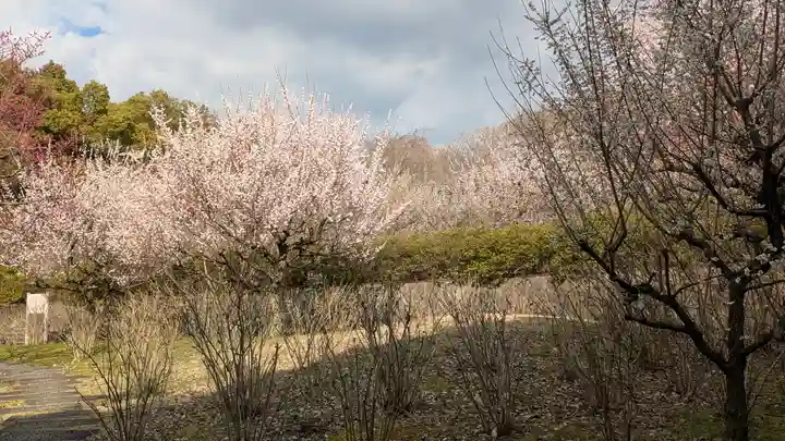 智積院(京都府)