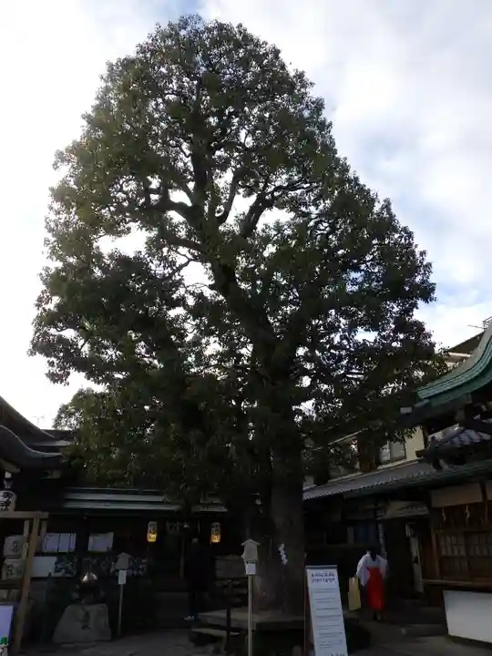 晴明神社の自然