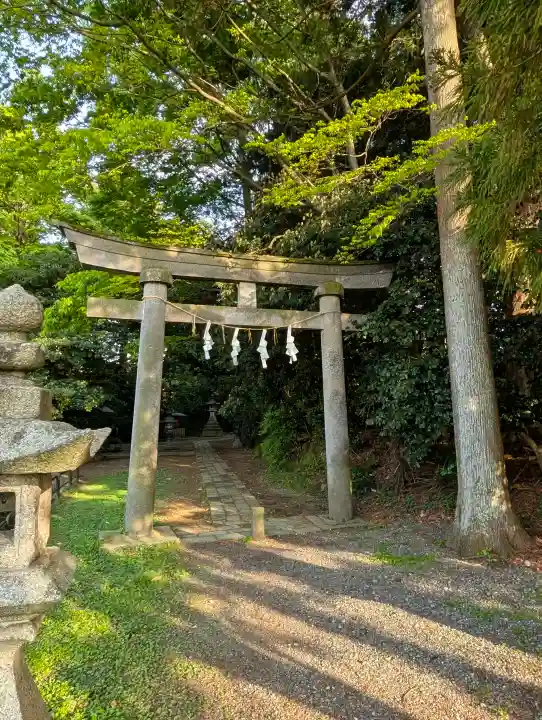 天津神社の{uncategorized: "未分類", other: "その他", undefined: "問題あり", building: "その他建物", grave: "お墓", sacred_gate: "鳥居", guardian: "狛犬", statue: "像", buddha: "仏像", history: "歴史", nature: "自然", garden: "庭園", animal: "動物", pagoda: "塔", temizu: "手水舎", mountain_gate: "山門・神門", sanctuary: "本殿・本堂", subordinate: "末社・摂社", art: "芸術", scenery: "景色", jizo: "地蔵", ema: "絵馬", goshuin: "御朱印", omikuji: "おみくじ", items: "授与品その他", amulet: "お守り", goshuincho: "御朱印帳", eats: "食事", festival: "お祭り", votive_dance: "神楽", shichigosan: "七五三参", wedding: "結婚式", experience: "体験その他", initially: "初詣", around: "周辺", anti_infection: "感染症対策"}