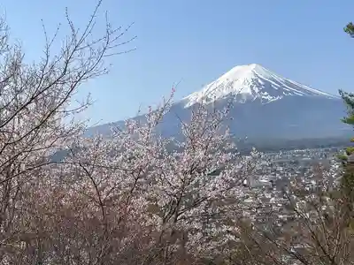 新倉富士浅間神社(山梨県)