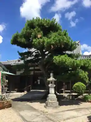 蓮台寺の本殿・本堂