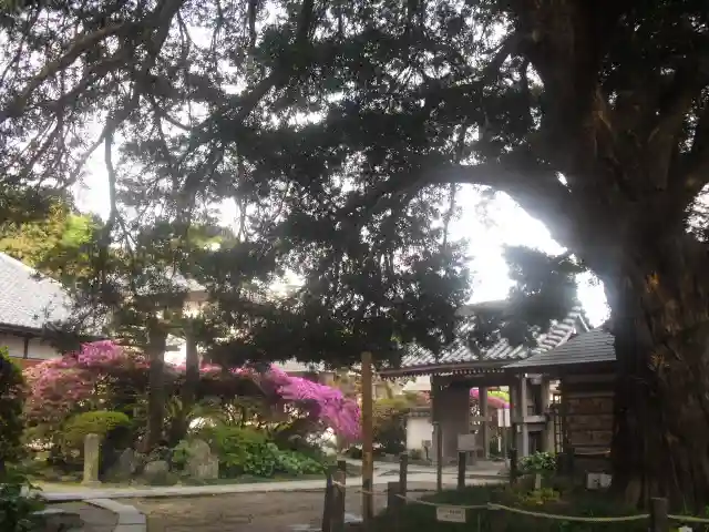 安養院 (田代寺)のその他建物