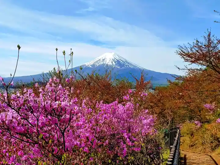 新倉富士浅間神社(山梨県)