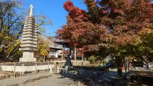 乙訓寺(京都府)