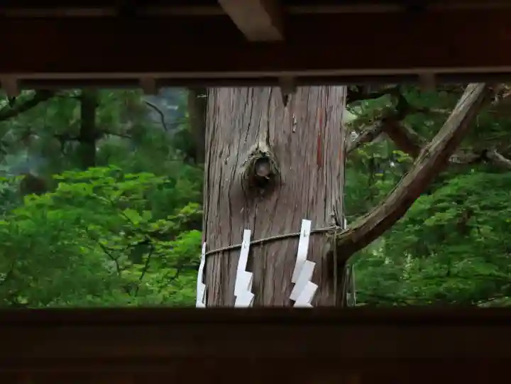 宝登山神社(埼玉県)