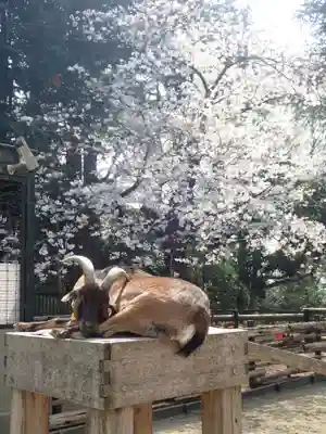 天照皇大神(神奈川県)
