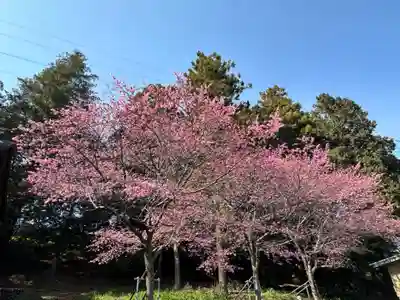 八幡神社(神奈川県)