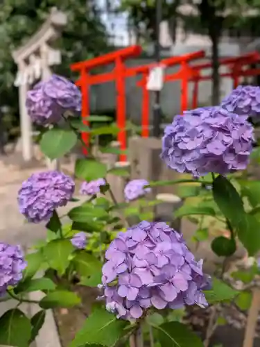 鳩森八幡神社(東京都)