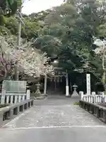龍尾神社の鳥居