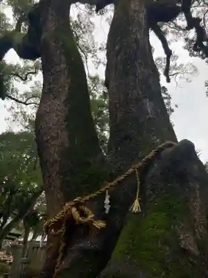 伊弉諾神宮(兵庫県)