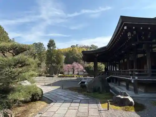 西芳寺の{uncategorized: "未分類", other: "その他", undefined: "問題あり", building: "その他建物", grave: "お墓", sacred_gate: "鳥居", guardian: "狛犬", statue: "像", buddha: "仏像", history: "歴史", nature: "自然", garden: "庭園", animal: "動物", pagoda: "塔", temizu: "手水舎", mountain_gate: "山門・神門", sanctuary: "本殿・本堂", subordinate: "末社・摂社", art: "芸術", scenery: "景色", jizo: "地蔵", ema: "絵馬", goshuin: "御朱印", omikuji: "おみくじ", items: "授与品その他", amulet: "お守り", goshuincho: "御朱印帳", eats: "食事", festival: "お祭り", votive_dance: "神楽", shichigosan: "七五三参", wedding: "結婚式", experience: "体験その他", initially: "初詣", around: "周辺", anti_infection: "感染症対策"}