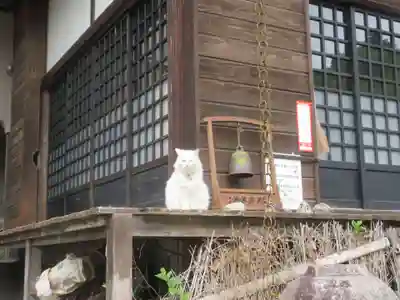 光珠院(埼玉県)