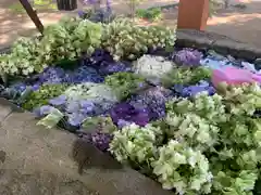 飯福神社(群馬県)