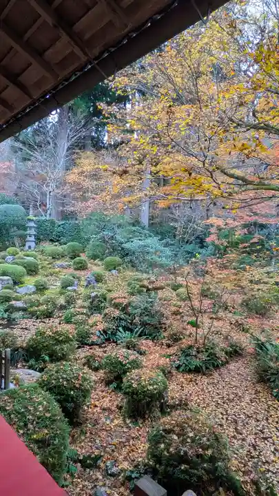 三千院門跡(京都府)