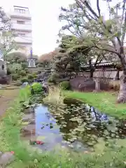 感通寺の庭園