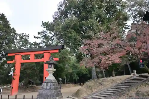 夫婦大國社（春日大社末社）(奈良県)