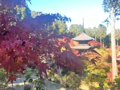 常樂寺(滋賀県)