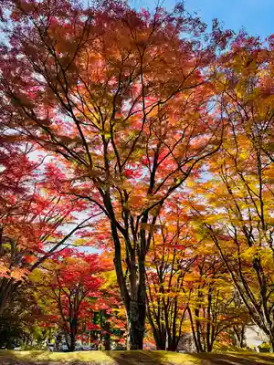 土津神社｜こどもと出世の神さま(福島県)
