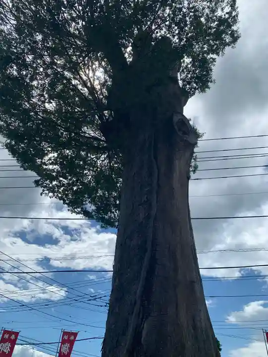 石井神社(茨城県)