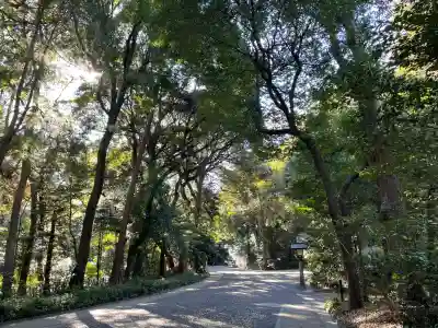 明治神宮(東京都)