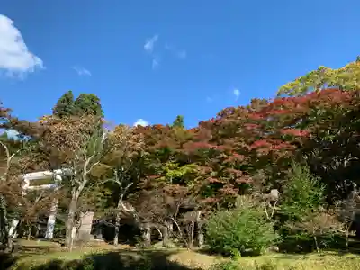土津神社｜こどもと出世の神さまのその他建物