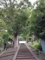 六角橋杉山大神(神奈川県)