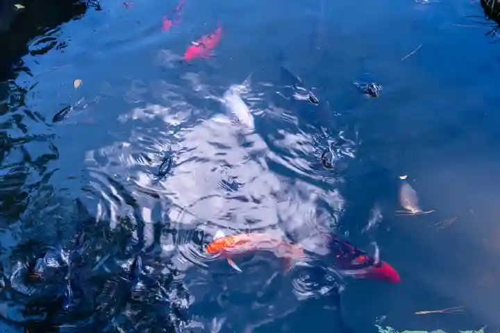 香椎宮(福岡県)