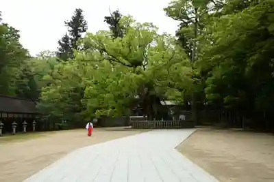 大山祇神社(愛媛県)