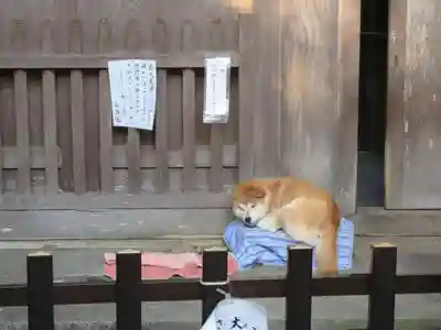 能満院(奈良県)