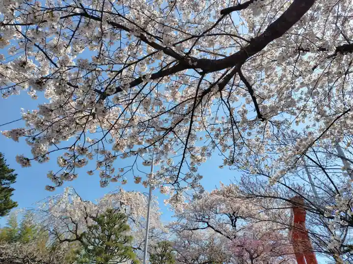 諏訪神社(宮城県)