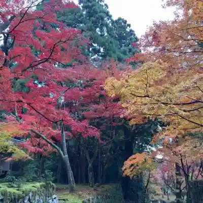 西明寺(滋賀県)