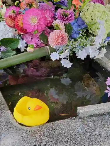 高司神社〜むすびの神の鎮まる社〜の手水