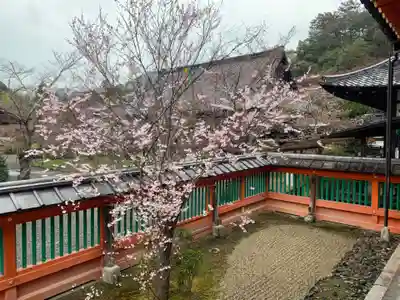 毘沙門堂門跡(京都府)