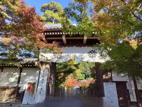禅林寺（永観堂）(京都府)