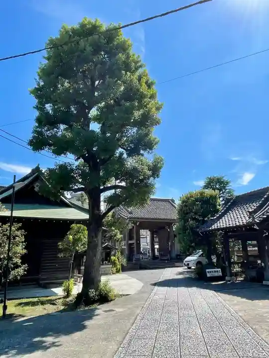 相応寺(神奈川県)