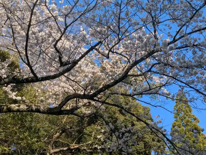 伊勢神宮内宮(皇大神宮)の{uncategorized: "未分類", other: "その他", undefined: "問題あり", building: "その他建物", grave: "お墓", sacred_gate: "鳥居", guardian: "狛犬", statue: "像", buddha: "仏像", history: "歴史", nature: "自然", garden: "庭園", animal: "動物", pagoda: "塔", temizu: "手水舎", mountain_gate: "山門・神門", sanctuary: "本殿・本堂", subordinate: "末社・摂社", art: "芸術", scenery: "景色", jizo: "地蔵", ema: "絵馬", goshuin: "御朱印", omikuji: "おみくじ", items: "授与品その他", amulet: "お守り", goshuincho: "御朱印帳", eats: "食事", festival: "お祭り", votive_dance: "神楽", shichigosan: "七五三参", wedding: "結婚式", experience: "体験その他", initially: "初詣", around: "周辺", anti_infection: "感染症対策"}