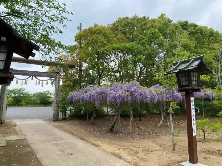 鎌数伊勢大神宮の{uncategorized: "未分類", other: "その他", undefined: "問題あり", building: "その他建物", grave: "お墓", sacred_gate: "鳥居", guardian: "狛犬", statue: "像", buddha: "仏像", history: "歴史", nature: "自然", garden: "庭園", animal: "動物", pagoda: "塔", temizu: "手水舎", mountain_gate: "山門・神門", sanctuary: "本殿・本堂", subordinate: "末社・摂社", art: "芸術", scenery: "景色", jizo: "地蔵", ema: "絵馬", goshuin: "御朱印", omikuji: "おみくじ", items: "授与品その他", amulet: "お守り", goshuincho: "御朱印帳", eats: "食事", festival: "お祭り", votive_dance: "神楽", shichigosan: "七五三参", wedding: "結婚式", experience: "体験その他", initially: "初詣", around: "周辺", anti_infection: "感染症対策"}