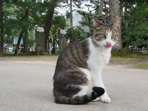 智恩寺(京都府)