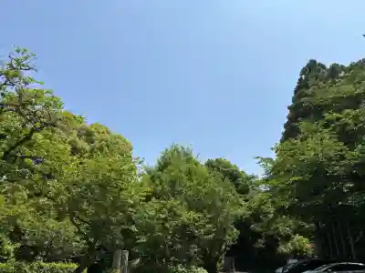 常陸國總社宮の{uncategorized: "未分類", other: "その他", undefined: "問題あり", building: "その他建物", grave: "お墓", sacred_gate: "鳥居", guardian: "狛犬", statue: "像", buddha: "仏像", history: "歴史", nature: "自然", garden: "庭園", animal: "動物", pagoda: "塔", temizu: "手水舎", mountain_gate: "山門・神門", sanctuary: "本殿・本堂", subordinate: "末社・摂社", art: "芸術", scenery: "景色", jizo: "地蔵", ema: "絵馬", goshuin: "御朱印", omikuji: "おみくじ", items: "授与品その他", amulet: "お守り", goshuincho: "御朱印帳", eats: "食事", festival: "お祭り", votive_dance: "神楽", shichigosan: "七五三参", wedding: "結婚式", experience: "体験その他", initially: "初詣", around: "周辺", anti_infection: "感染症対策"}