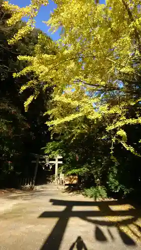 多久神社の鳥居