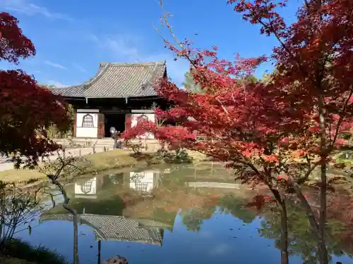 高台寺（高台寿聖禅寺・高臺寺）(京都府)