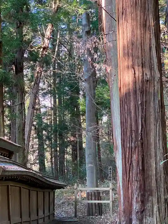 諏訪大社下社春宮(長野県)
