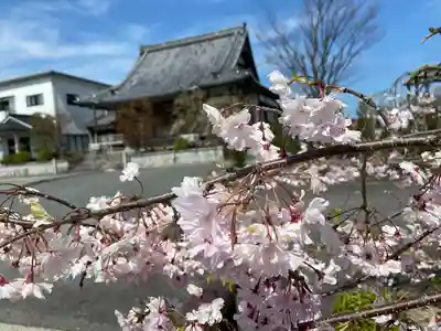 領善寺(滋賀県)